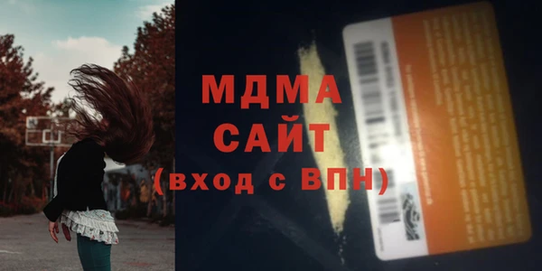 шишки Арсеньев