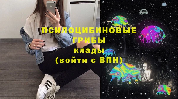 Альфа ПВП Армянск