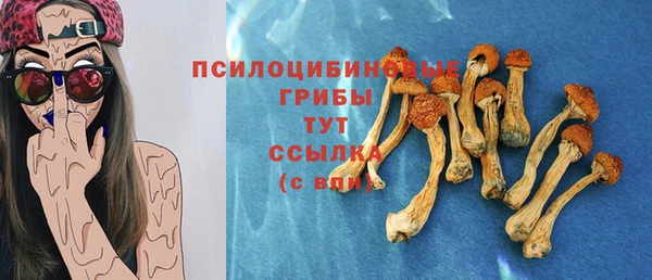 молекула духа Алексин