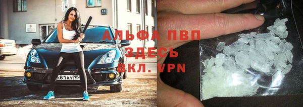 СК Алзамай