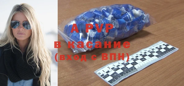 шишки Арсеньев