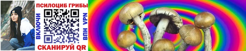 Псилоцибиновые грибы Psilocybe где купить Нарткала